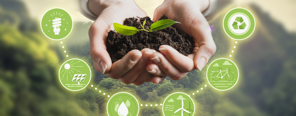 Hands together hold a seedling in a pile of dirt representing the need for sustainability in the workplace for Earth Day 2023