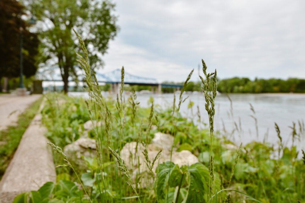 Picture of Riverside Park in La Crosse, WI. Close up of grass and rocks in the foreground, with the La Crosse, WI blue bridge in the background.